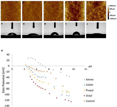 Improvement of Mesenchymal Stromal Cell Proliferation and Differentiation via Decellularized Extracellular Matrix on Substrates With a Range of Surface Chemistries